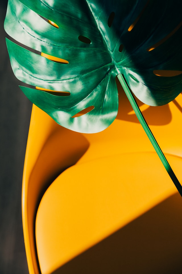 kobu-agency-zGOD41xSmaE-unsplash (1)